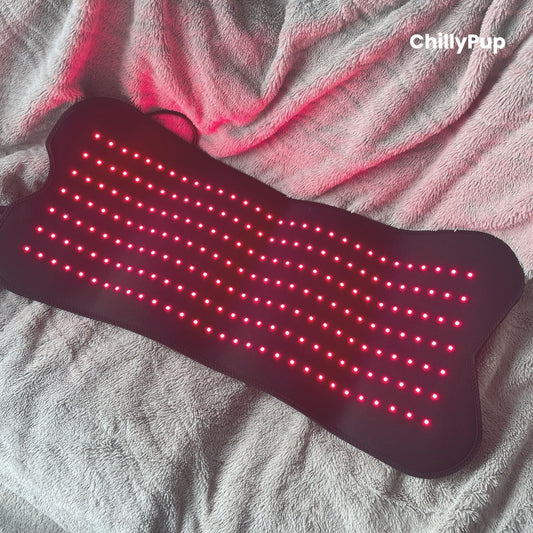 Large Red Light Therapy Pad for Dogs