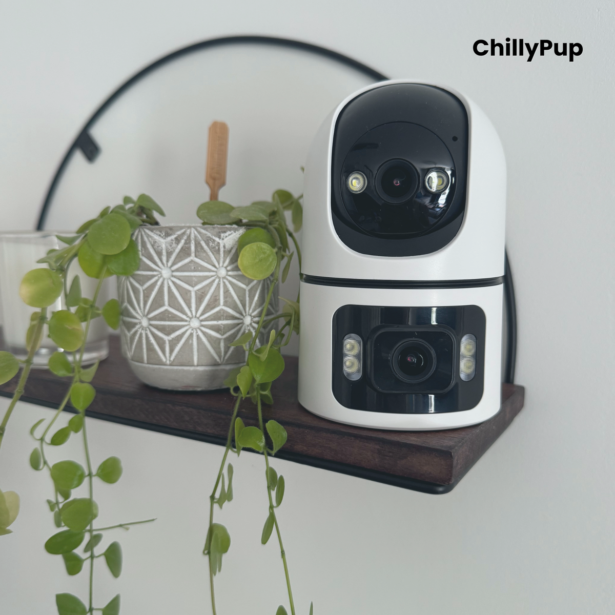 PawCam - Home & Pet Cameras