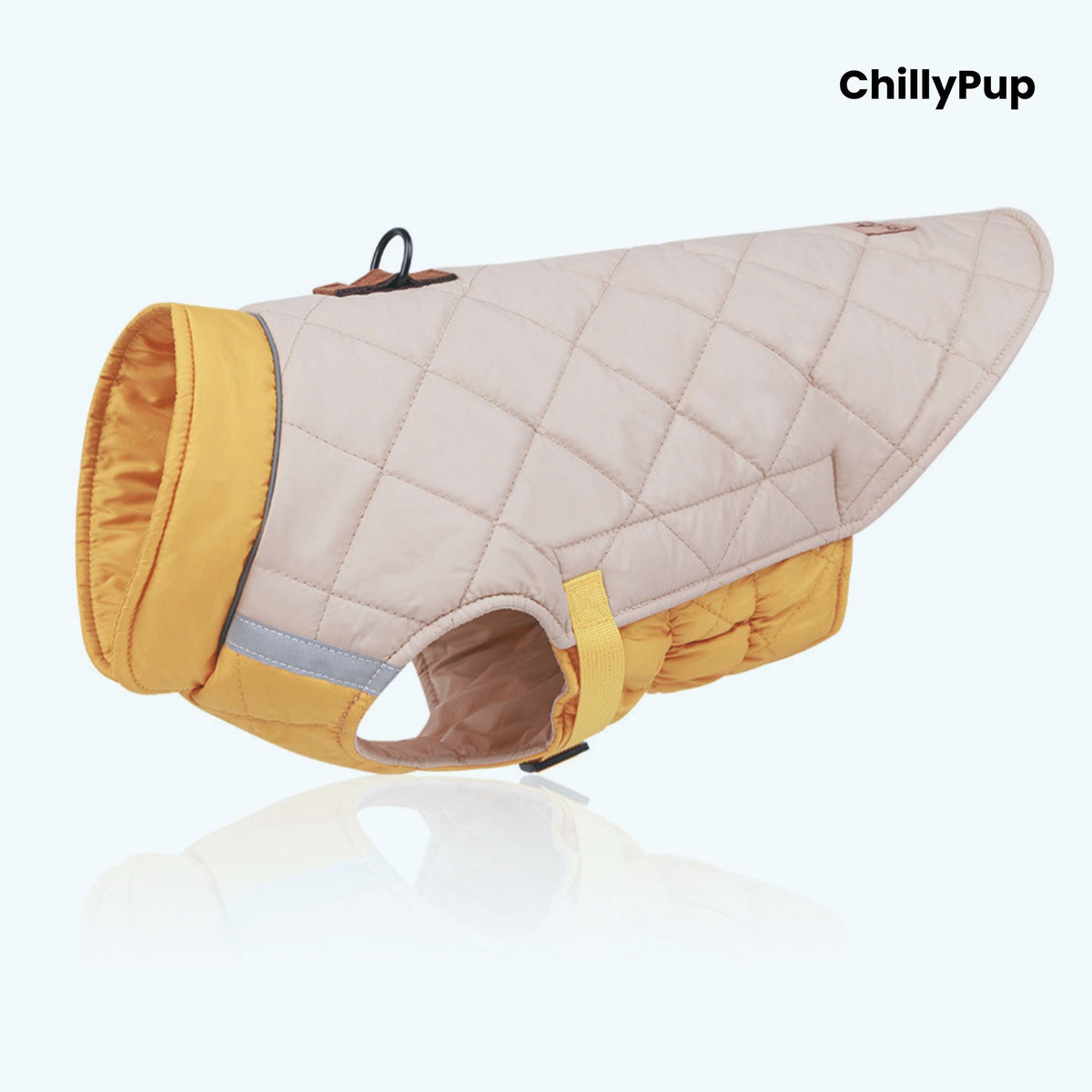 Dog Coats