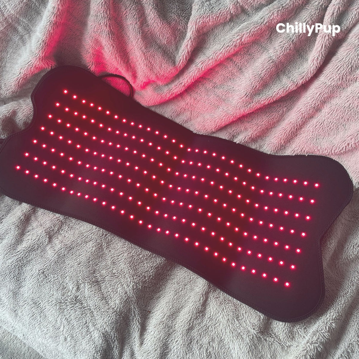 Large Red Light Therapy Pad for Dogs 