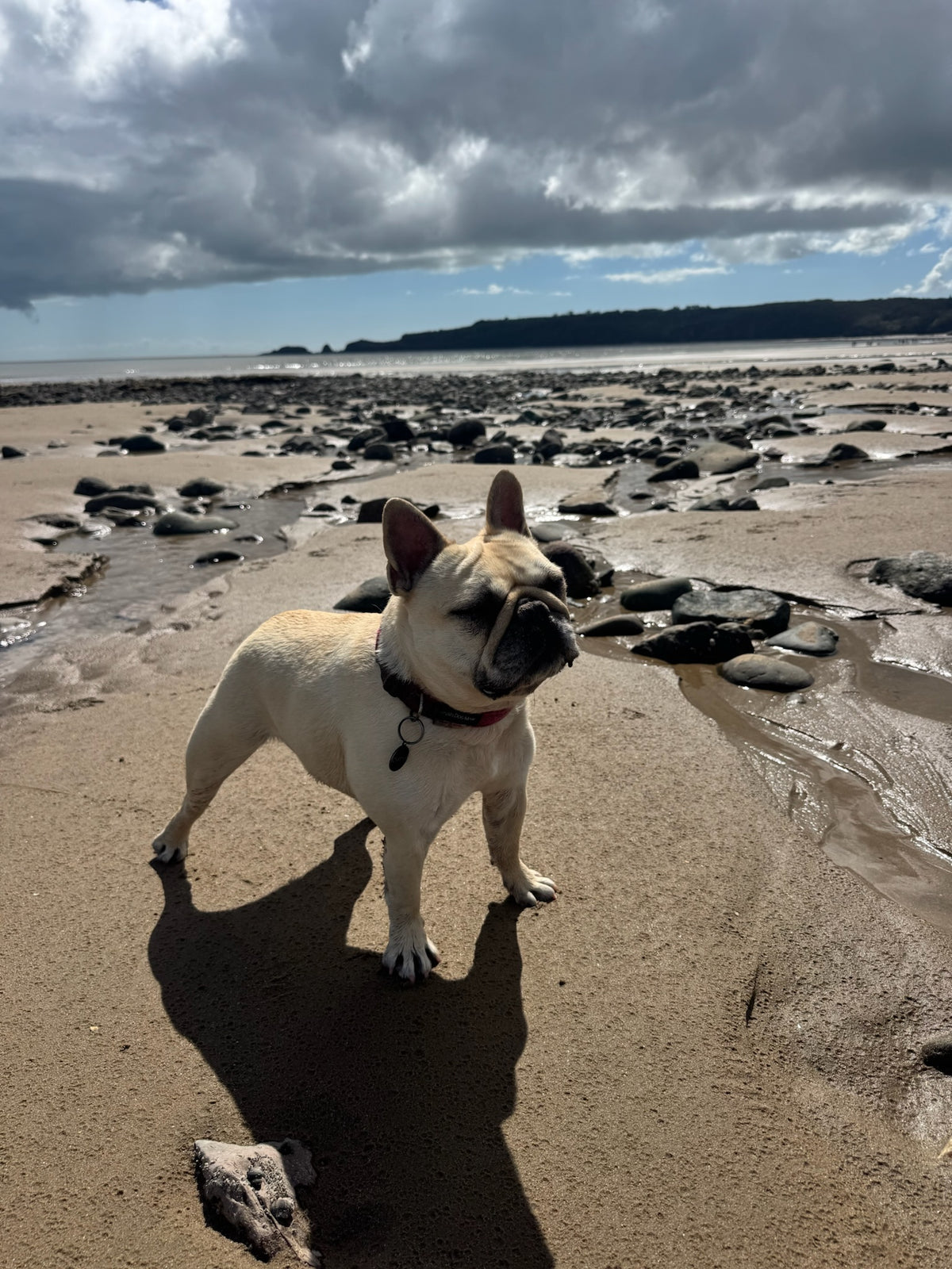 Mila on the beach