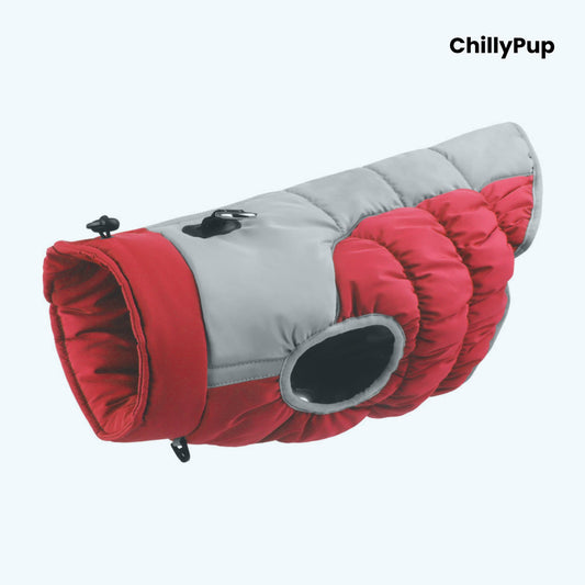Premium Puffer Dog Coat with Chillypup branding on a white background
