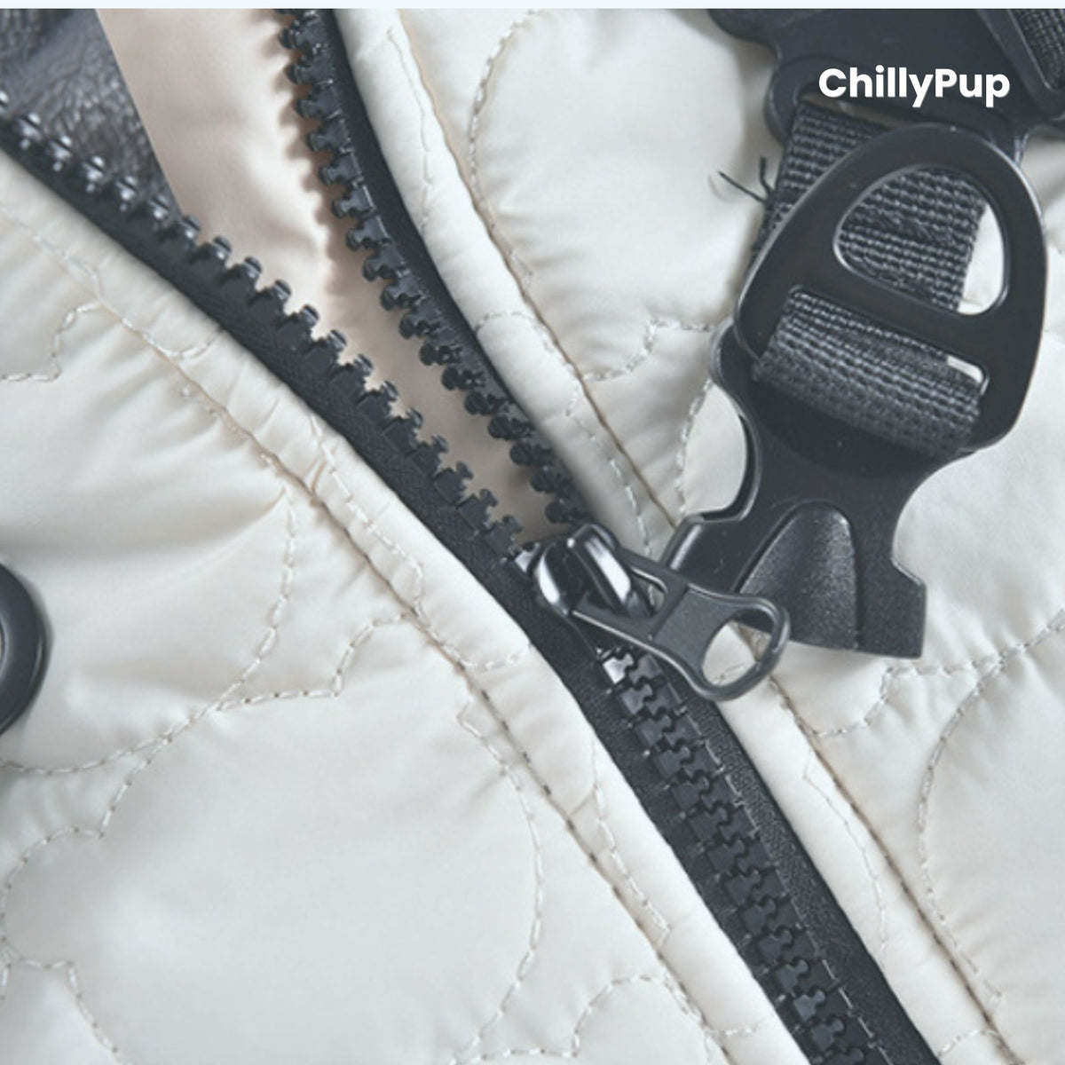 Close-up of a quilted jacket with a zipper and 'ChillyPup' branding.