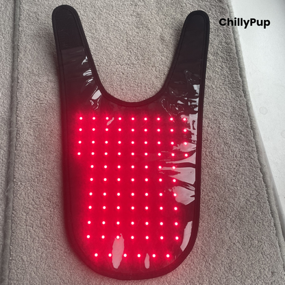 Red LED dog therapy pad with 'ChillyPup' branding.