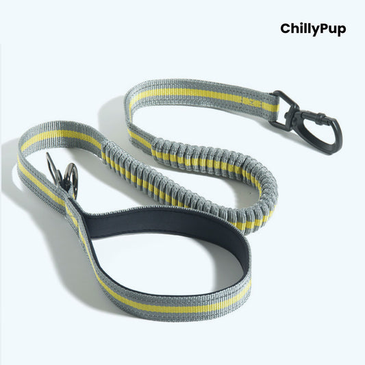Grey and yellow padded dog lead with Chillypup Branding