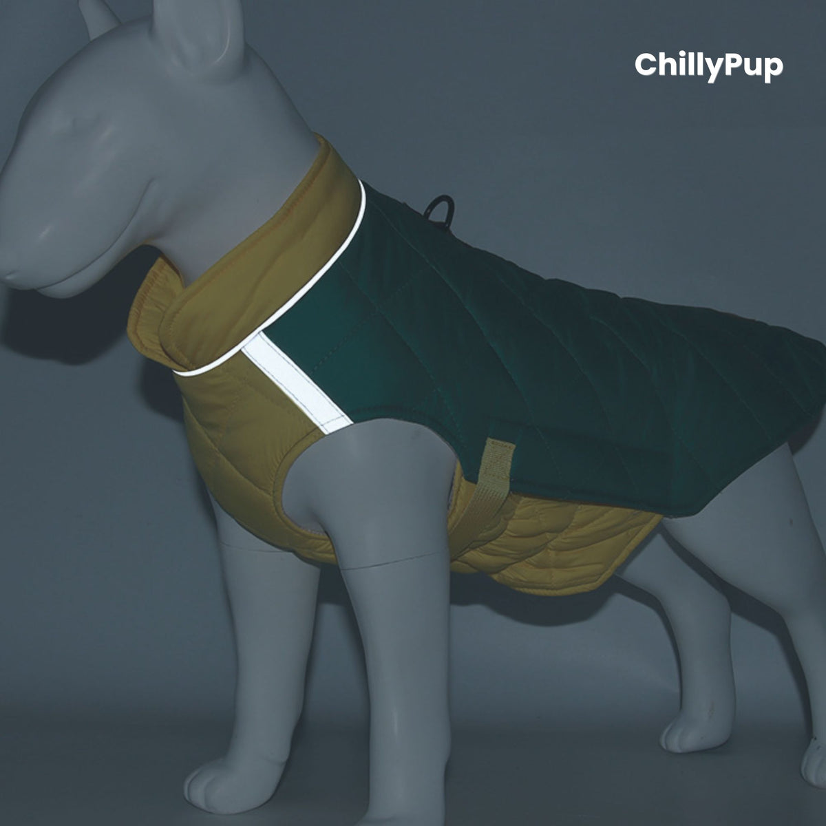 Mannequin dog wearing a green and yellow dog coat with reflective strip, branded 'ChillyPup'.