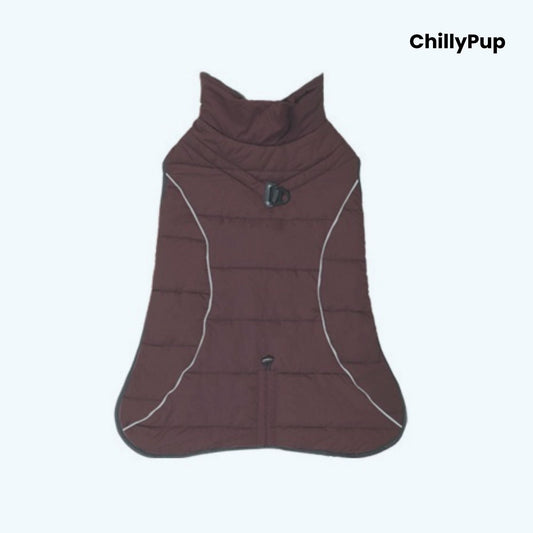 Dog coat showing both sides with Chillypup branding on a white background