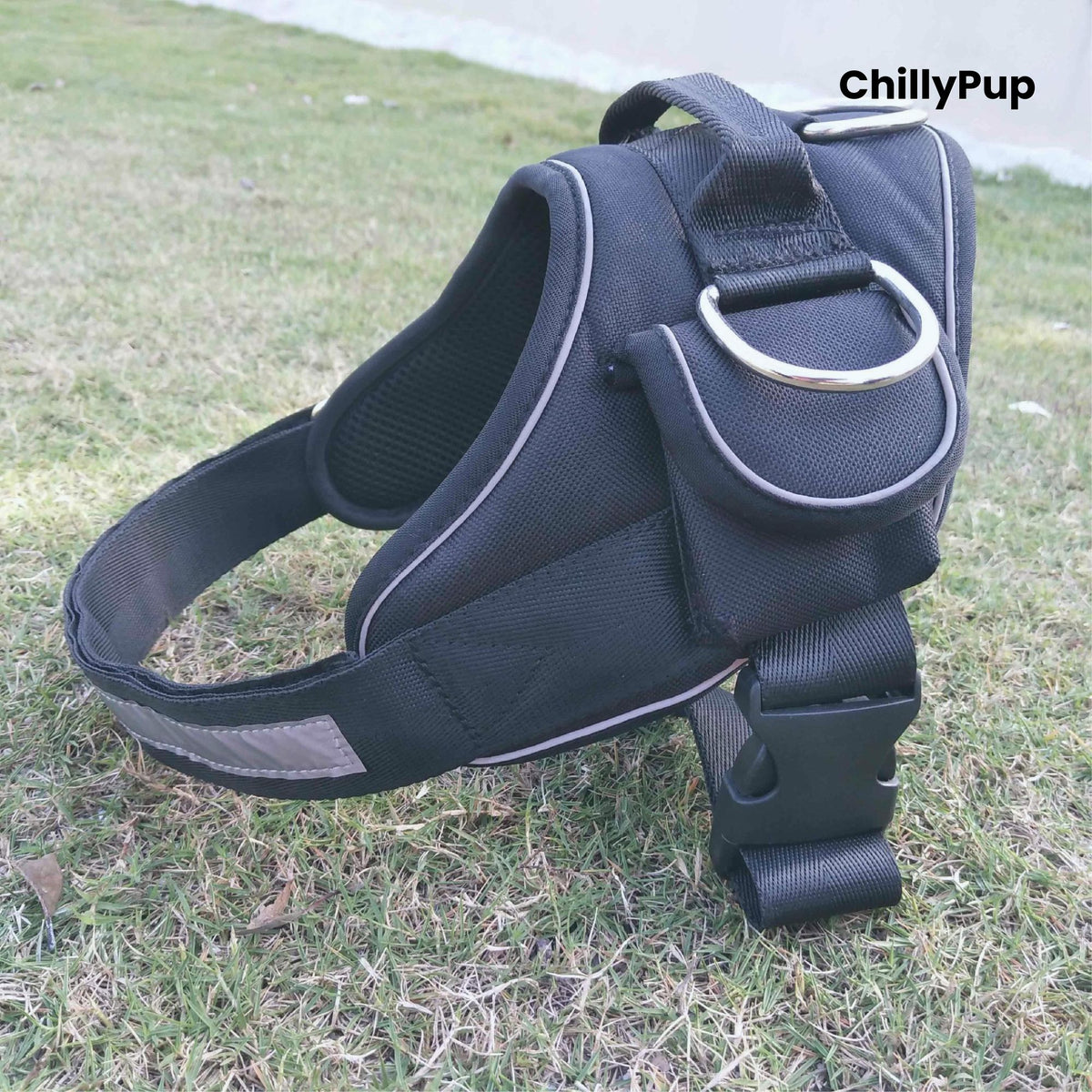 Black dog harness on grass with 'ChillyPup' branding