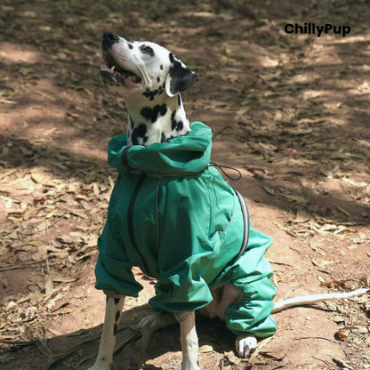 Dalmatian wearing the Cloudburst Belly-Zip Dog Suit in Mint Green