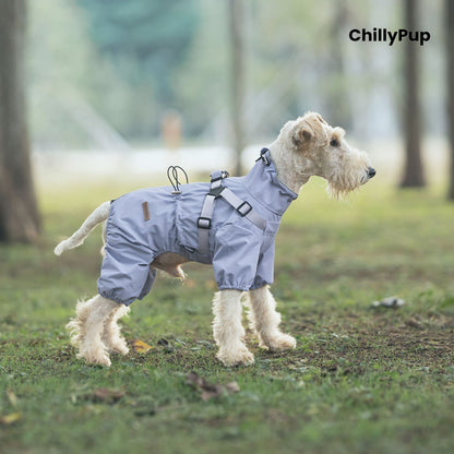 Dog wearing the Drizzle Harness Dog Raincoat in Lilac on a woodland walk