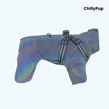 Drizzle Harness Dog Raincoat in Reflective Grey, a high-visibility full-body dog raincoat with built-in harness