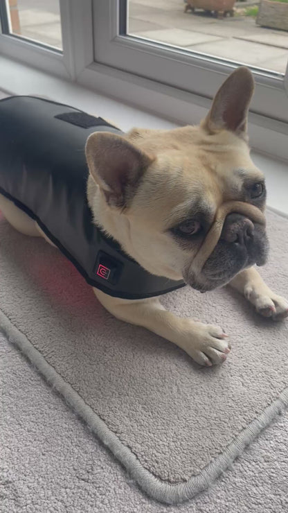 Red Light Therapy Wrap for Dogs, Back and Spinal Support